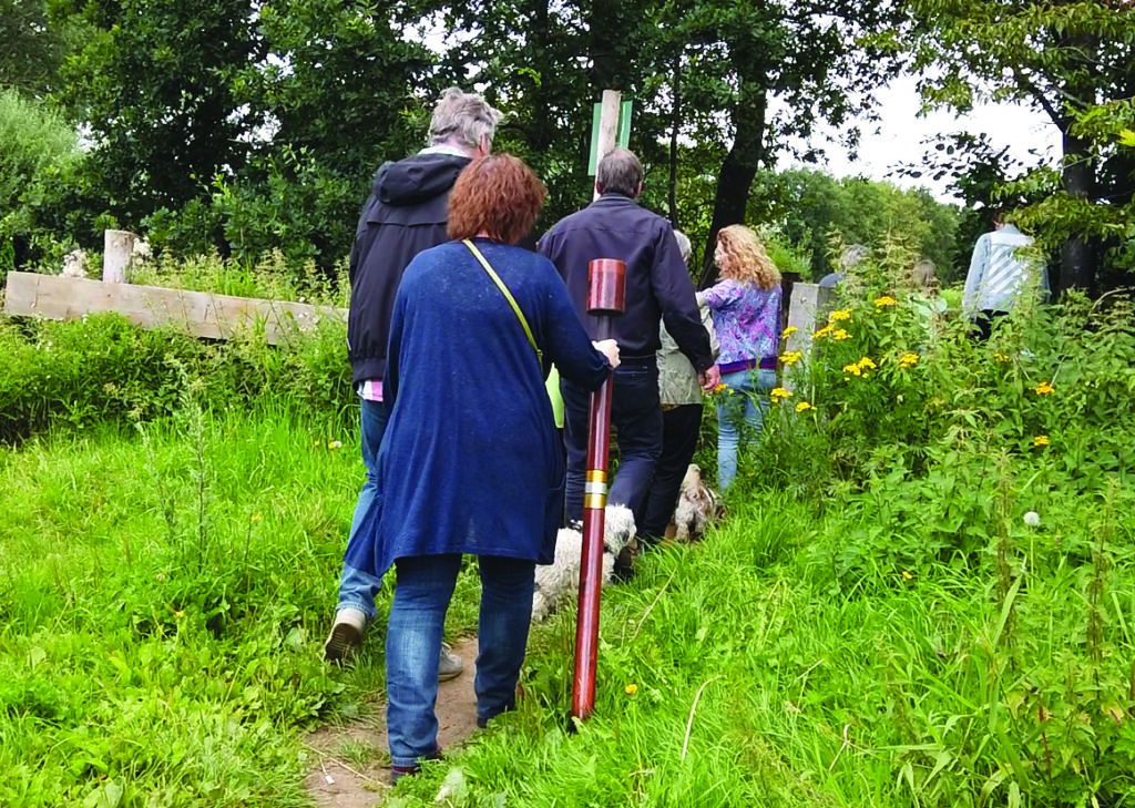 Wandeling-tolad-halo